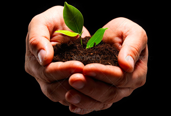 短信轰炸业务网